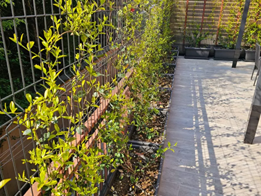 Immagine 28 di Appartamento in vendita  a Padova