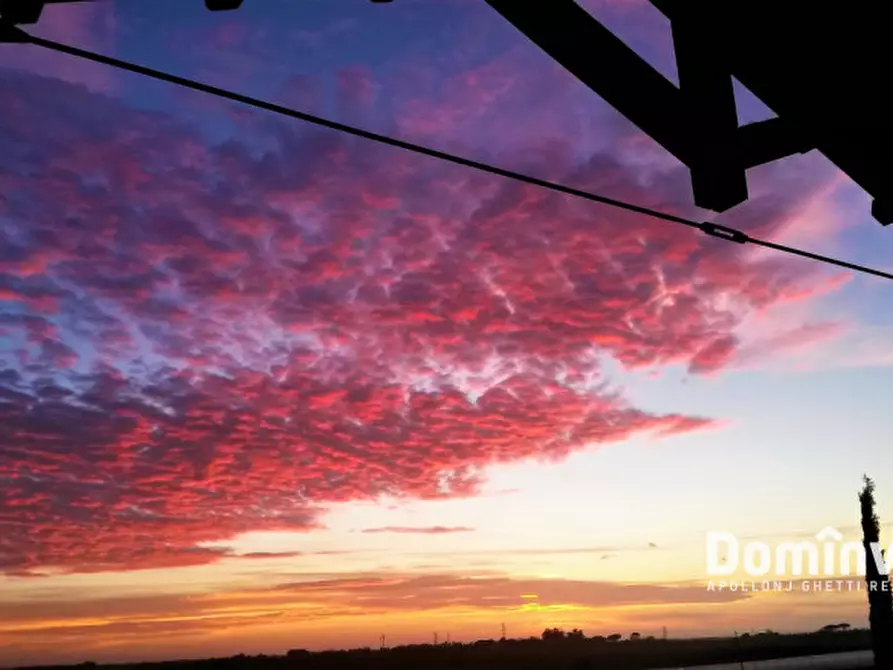 Immagine 14 di Villa in affitto  in pescia romana strada tavolaro a Capalbio
