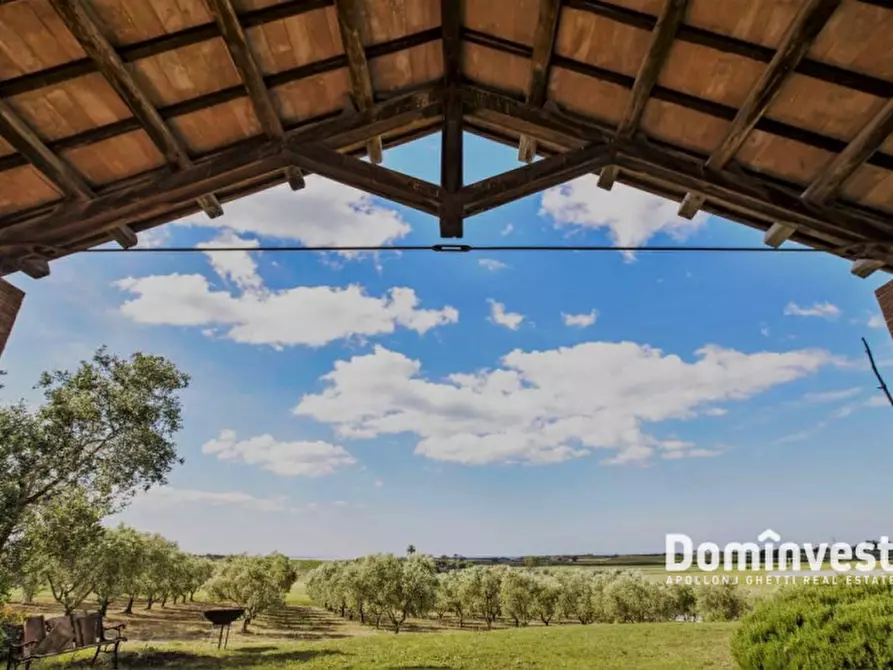 Immagine 15 di Villa in affitto  in pescia romana strada tavolaro a Capalbio