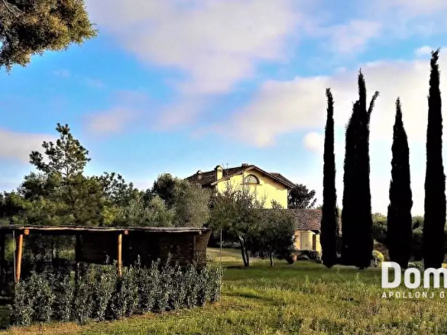 Immagine 30 di Villa in affitto  in pescia romana strada tavolaro a Capalbio