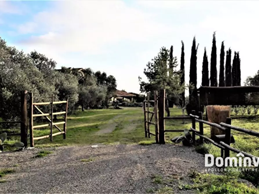 Immagine 31 di Villa in affitto  in pescia romana strada tavolaro a Capalbio