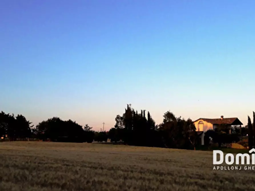 Immagine 34 di Villa in affitto  in pescia romana strada tavolaro a Capalbio