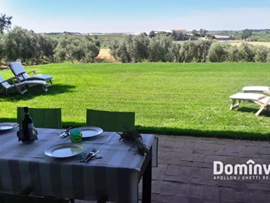 Immagine 36 di Villa in affitto  in pescia romana strada tavolaro a Capalbio