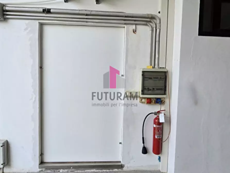 Immagine 3 di Capannone industriale in vendita  a Veggiano