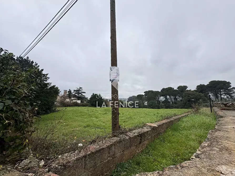 Immagine 2 di Terreno in vendita  in via chiancaro a Martina Franca