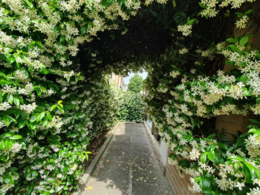 Immagine 4 di Villa in vendita  in Via della Libertà a Cavezzo