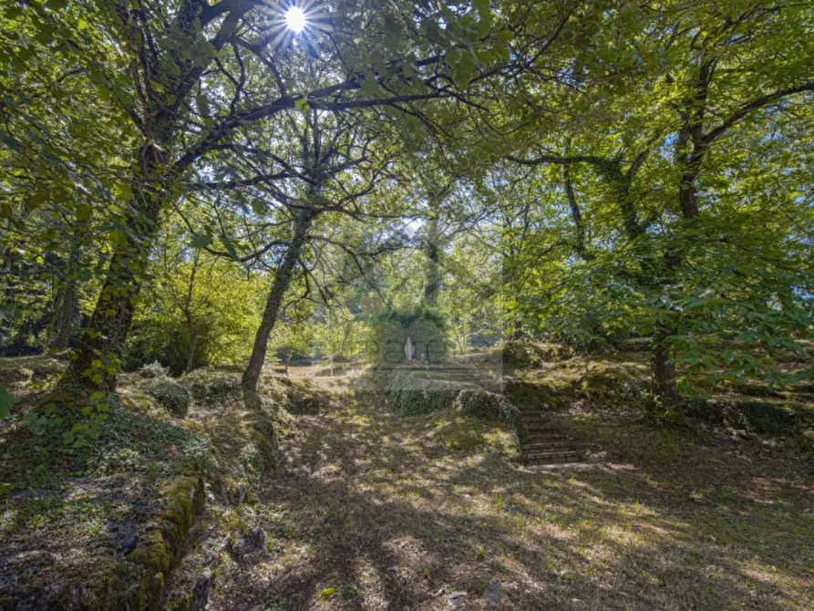 Immagine 37 di Villa in vendita  a San Zeno Di Montagna