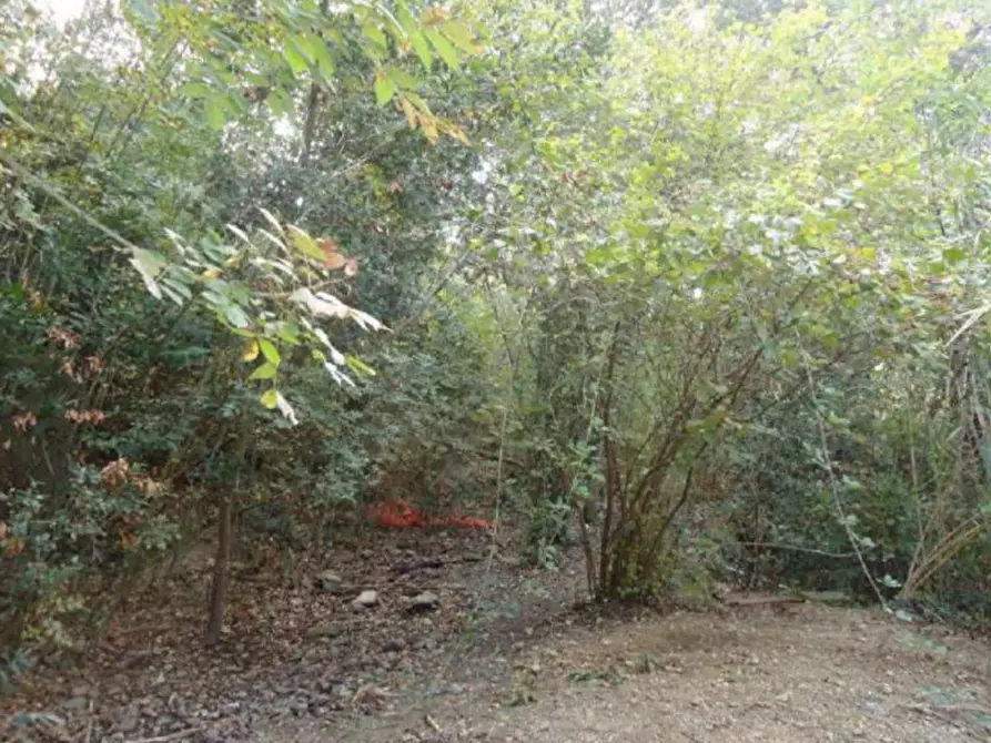 Immagine 3 di Terreno in vendita  in Via Antonio Mombello, 17019 Varazze SV, Italia a Varazze