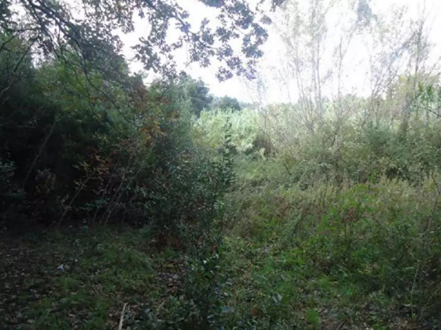 Immagine 4 di Terreno in vendita  in Via Antonio Mombello, 17019 Varazze SV, Italia a Varazze