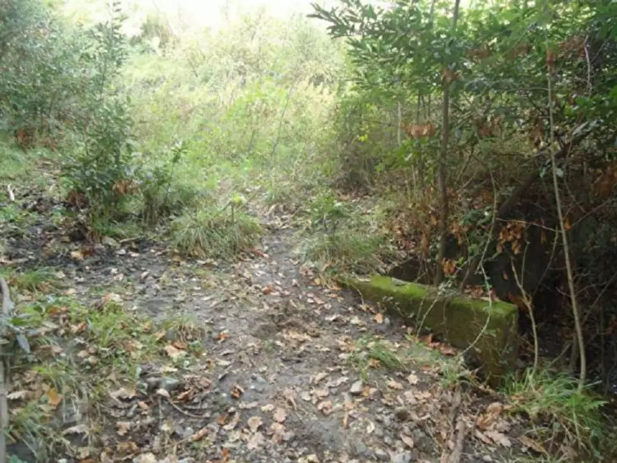 Immagine 5 di Terreno in vendita  in Via Antonio Mombello, 17019 Varazze SV, Italia a Varazze