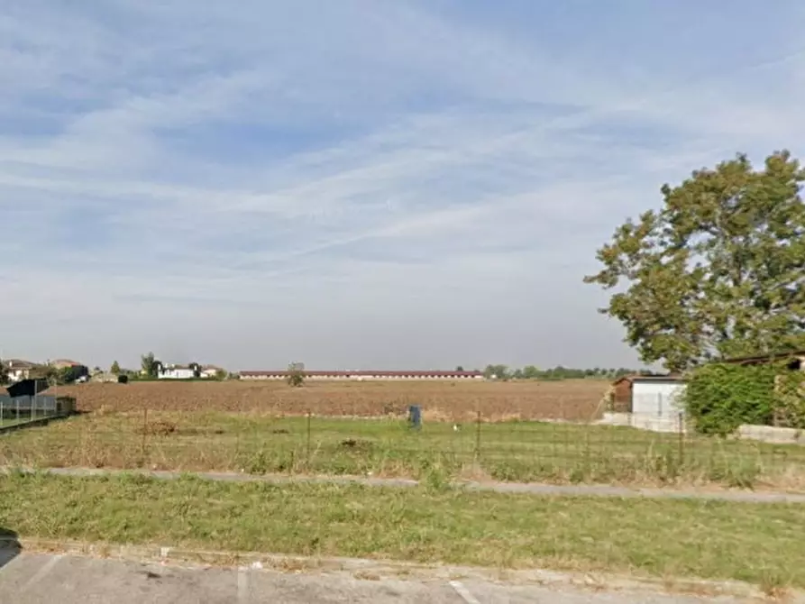 Immagine 1 di Terreno in vendita  in Via Chiesa di Spessa a Cologna Veneta