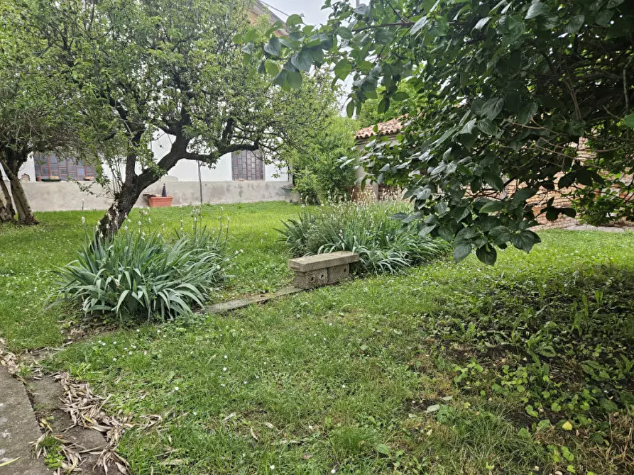 Immagine 18 di Casa indipendente in vendita  in Via Roma a Ospedaletto Euganeo