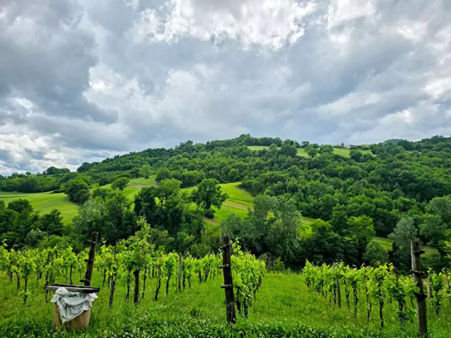 Immagine 2 di Terreno in vendita  in via Pietralata a Acqualagna