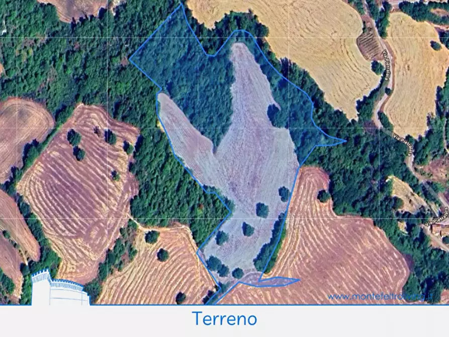 Immagine 3 di Terreno in vendita  in via Pietralata a Acqualagna