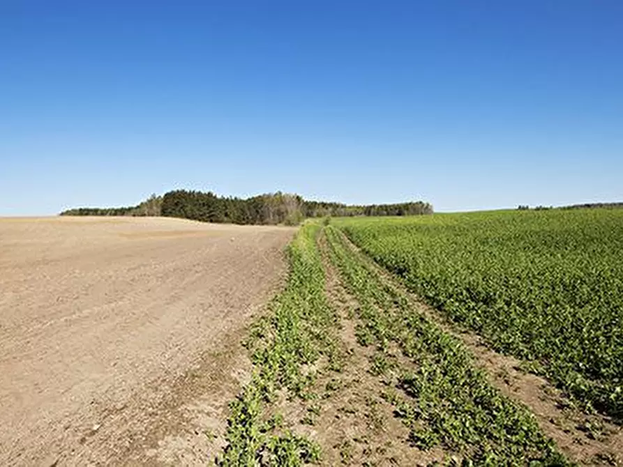 Immagine 4 di Terreno in vendita  in Via Aldo Rossi a Arcugnano