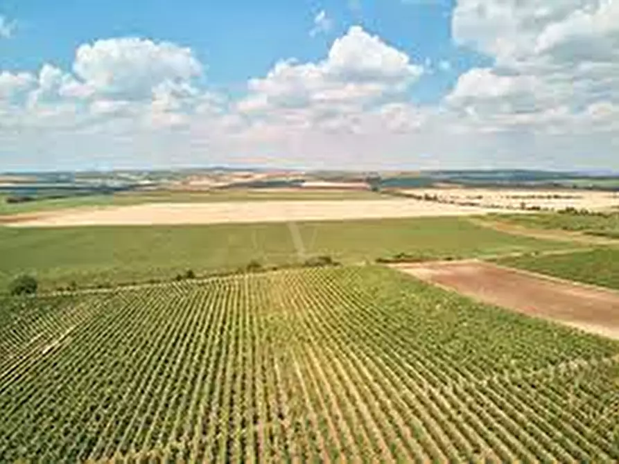 Immagine 5 di Terreno in vendita  in Via Aldo Rossi a Arcugnano