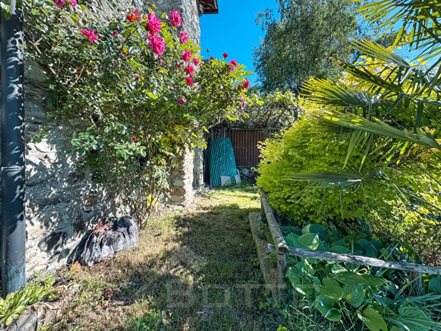 Immagine 42 di Casa indipendente in vendita  in Via Molino 26 a Arola