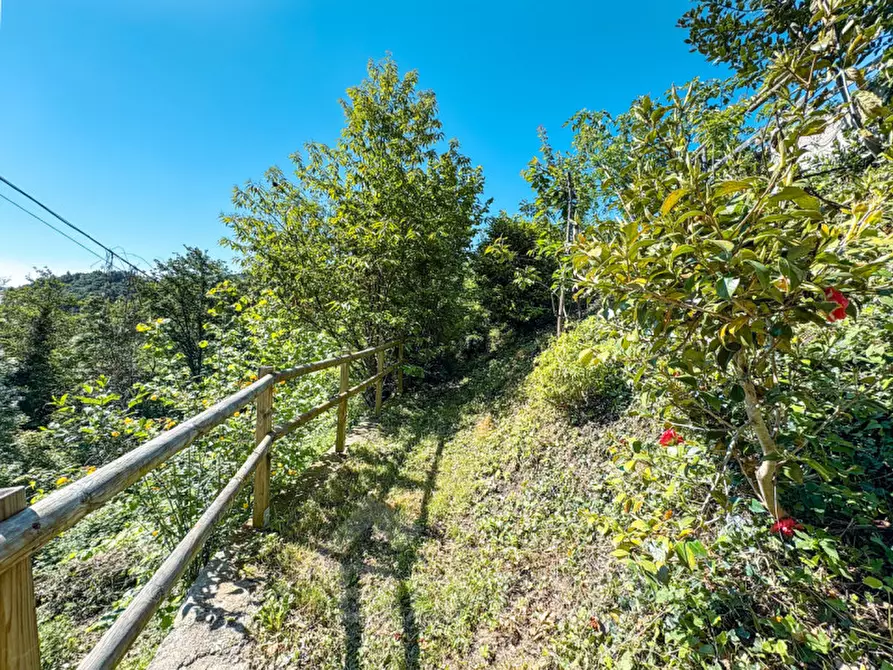 Immagine 45 di Casa indipendente in vendita  in Via Molino 26 a Arola