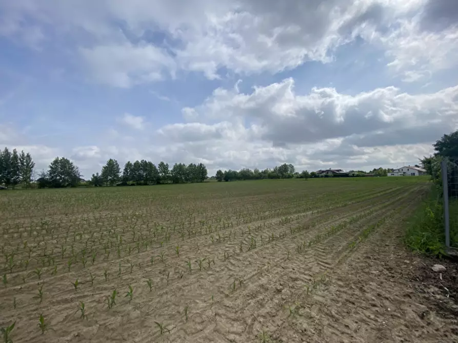 Immagine 1 di Terreno in vendita  in Via croce a Polverara