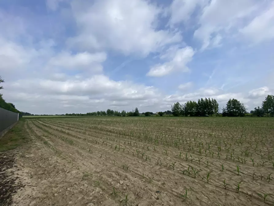 Immagine 2 di Terreno in vendita  in Via croce a Polverara