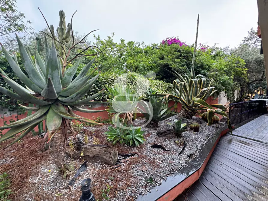 Immagine 4 di Appartamento in vendita  in VIA NETTUNO a Milazzo