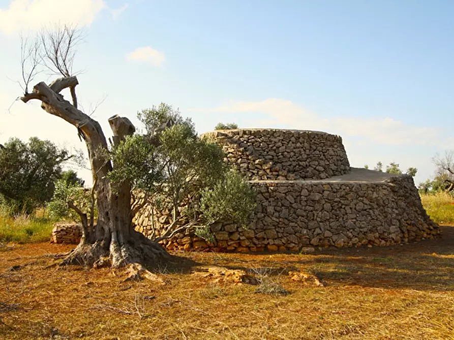 Immagine 1 di Terreno in vendita  in Strada Vicinale Rischiazzi a Parabita