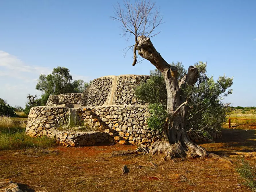 Immagine 2 di Terreno in vendita  in Strada Vicinale Rischiazzi a Parabita