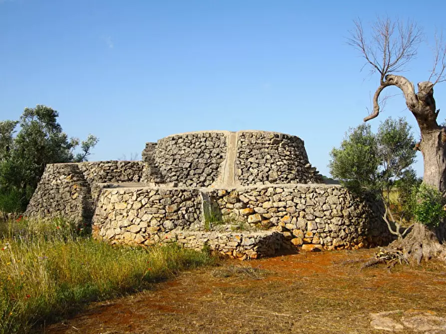 Immagine 3 di Terreno in vendita  in Strada Vicinale Rischiazzi a Parabita