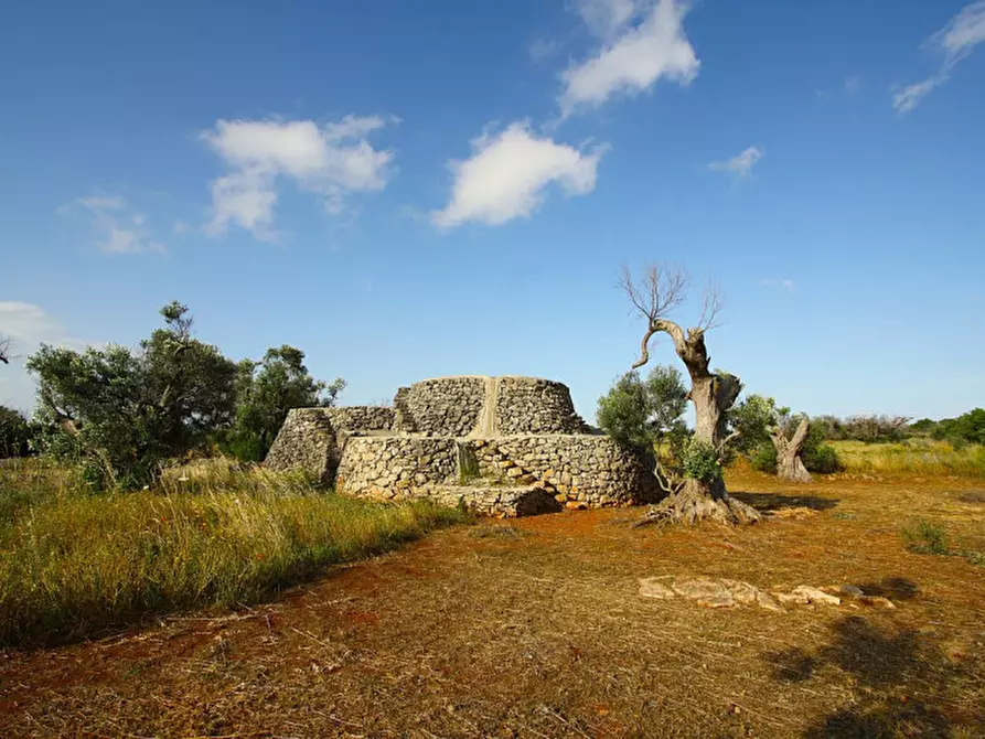 Immagine 4 di Terreno in vendita  in Strada Vicinale Rischiazzi a Parabita