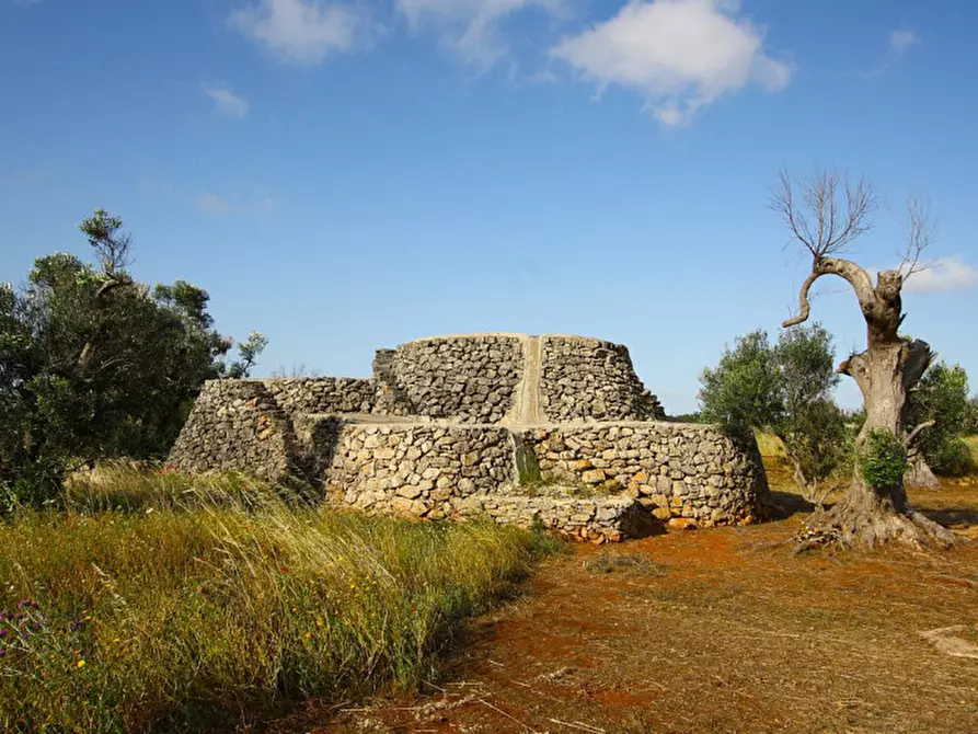 Immagine 5 di Terreno in vendita  in Strada Vicinale Rischiazzi a Parabita