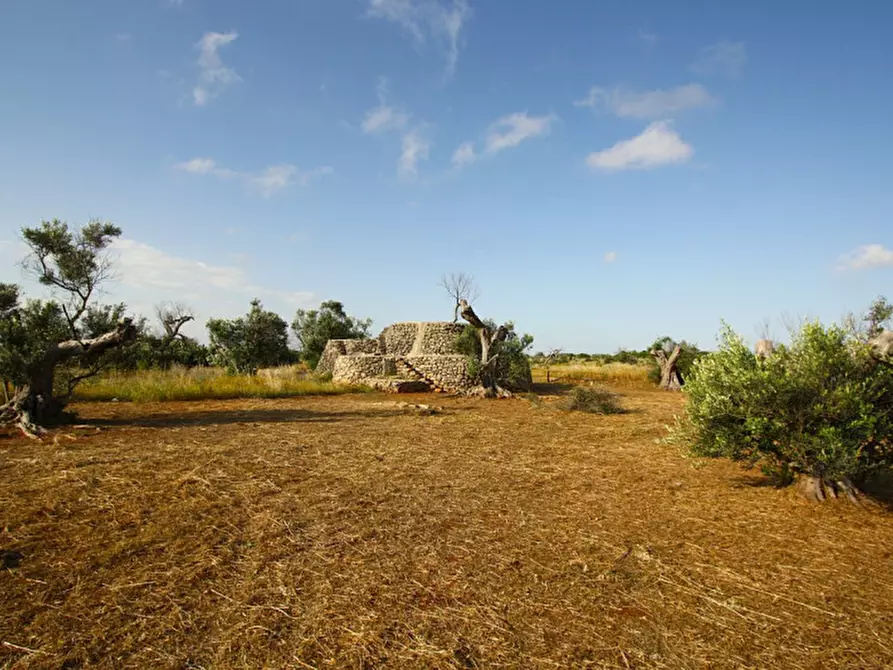 Immagine 6 di Terreno in vendita  in Strada Vicinale Rischiazzi a Parabita