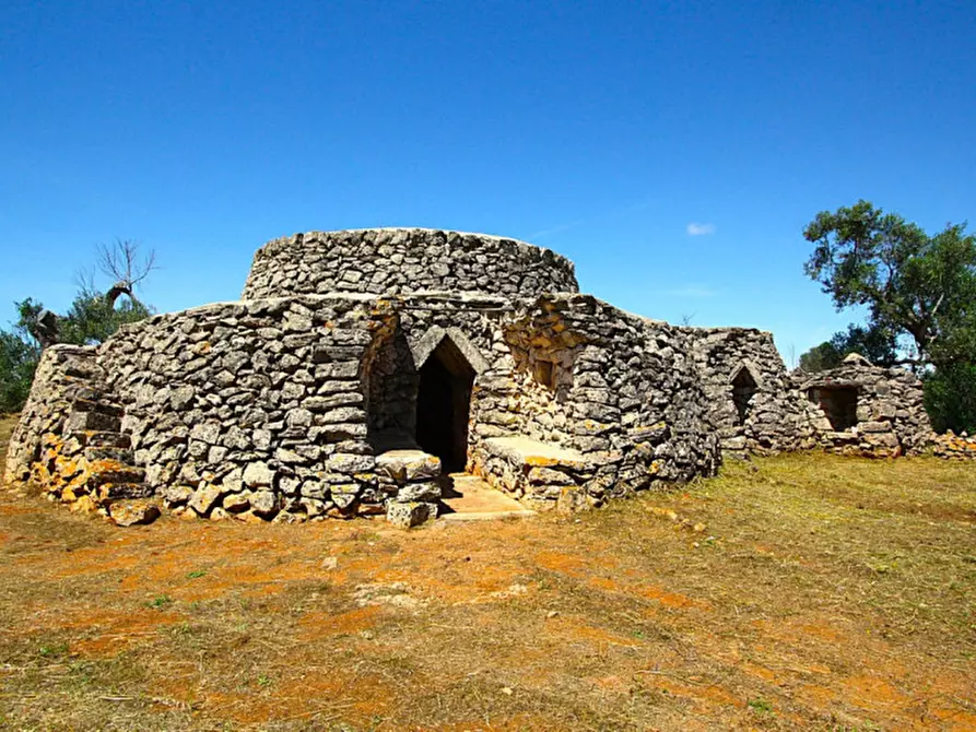 Immagine 7 di Terreno in vendita  in Strada Vicinale Rischiazzi a Parabita