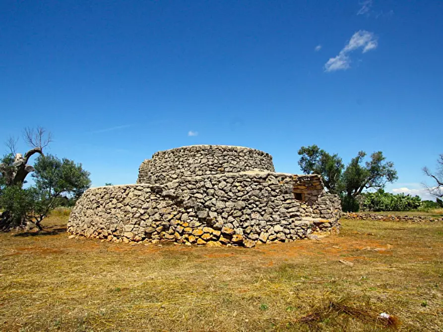 Immagine 8 di Terreno in vendita  in Strada Vicinale Rischiazzi a Parabita