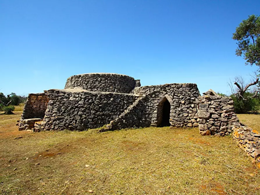 Immagine 10 di Terreno in vendita  in Strada Vicinale Rischiazzi a Parabita