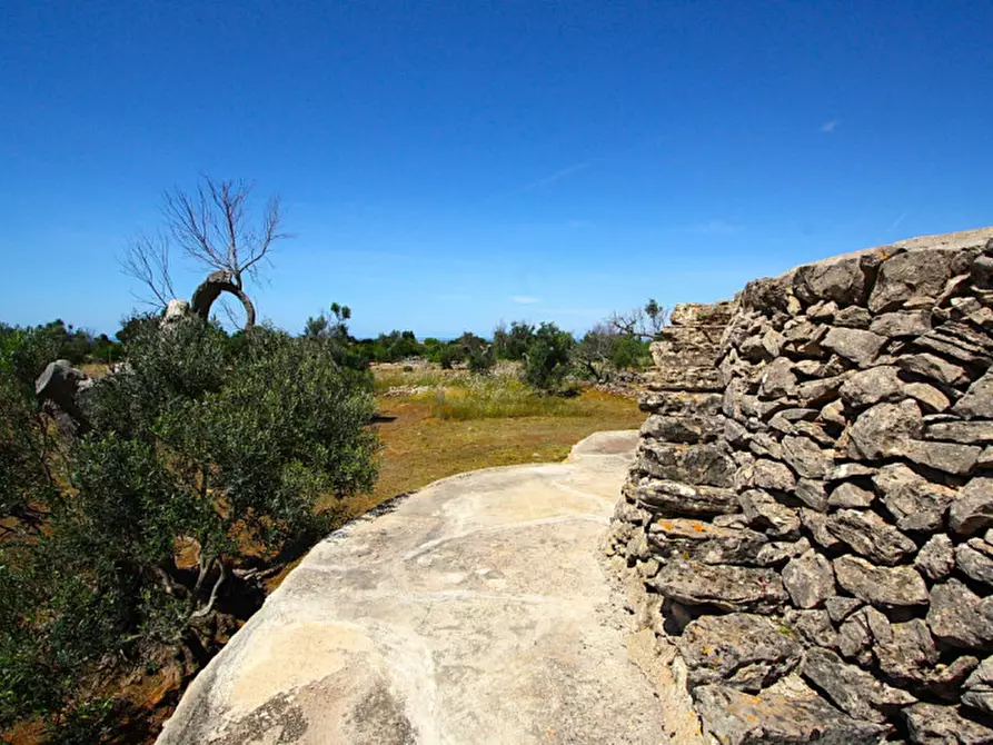 Immagine 12 di Terreno in vendita  in Strada Vicinale Rischiazzi a Parabita