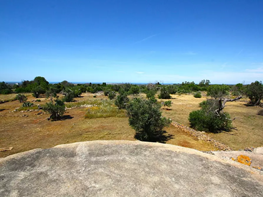 Immagine 13 di Terreno in vendita  in Strada Vicinale Rischiazzi a Parabita