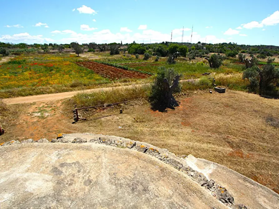 Immagine 14 di Terreno in vendita  in Strada Vicinale Rischiazzi a Parabita