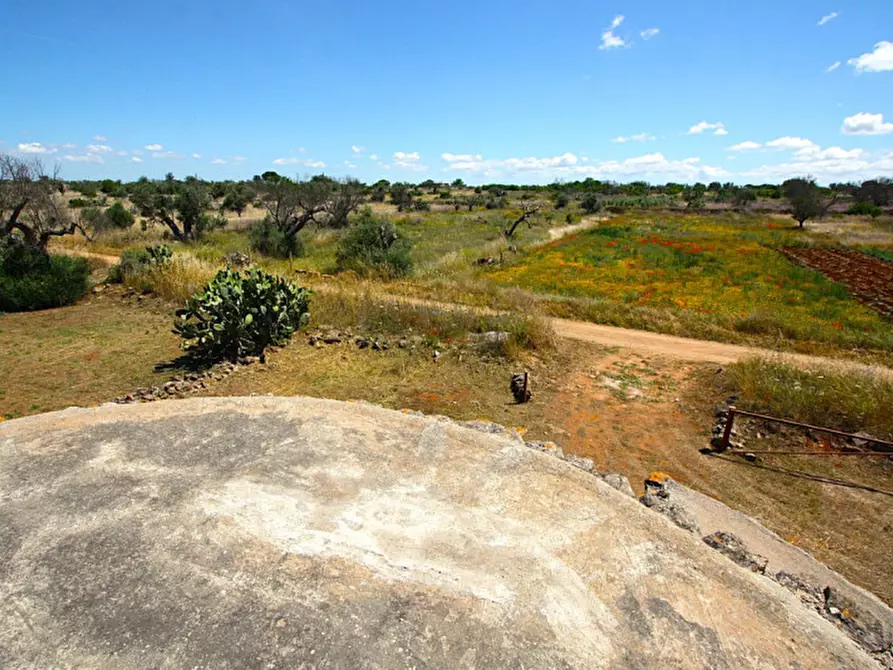 Immagine 15 di Terreno in vendita  in Strada Vicinale Rischiazzi a Parabita