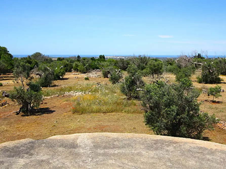 Immagine 16 di Terreno in vendita  in Strada Vicinale Rischiazzi a Parabita