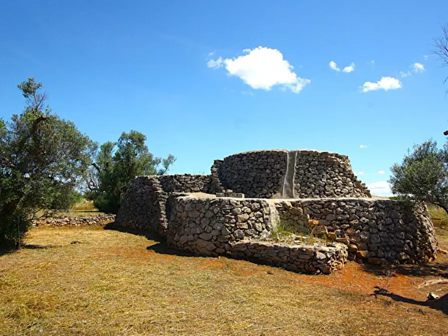 Immagine 17 di Terreno in vendita  in Strada Vicinale Rischiazzi a Parabita
