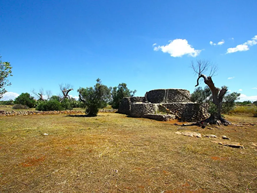 Immagine 18 di Terreno in vendita  in Strada Vicinale Rischiazzi a Parabita