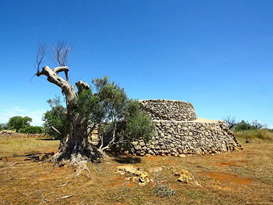 Immagine 19 di Terreno in vendita  in Strada Vicinale Rischiazzi a Parabita
