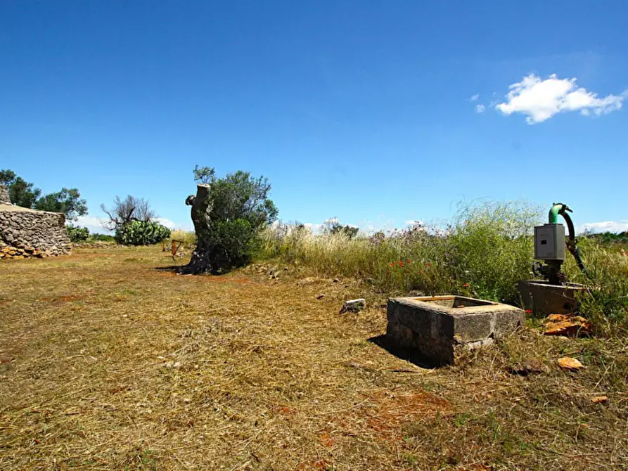 Immagine 20 di Terreno in vendita  in Strada Vicinale Rischiazzi a Parabita