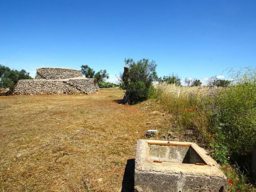 Immagine 21 di Terreno in vendita  in Strada Vicinale Rischiazzi a Parabita