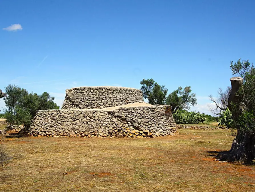 Immagine 22 di Terreno in vendita  in Strada Vicinale Rischiazzi a Parabita
