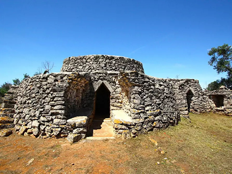 Immagine 23 di Terreno in vendita  in Strada Vicinale Rischiazzi a Parabita