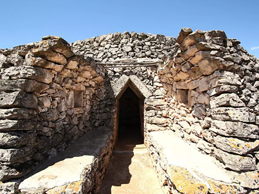 Immagine 24 di Terreno in vendita  in Strada Vicinale Rischiazzi a Parabita