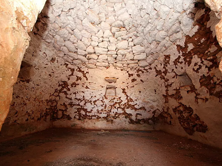 Immagine 26 di Terreno in vendita  in Strada Vicinale Rischiazzi a Parabita