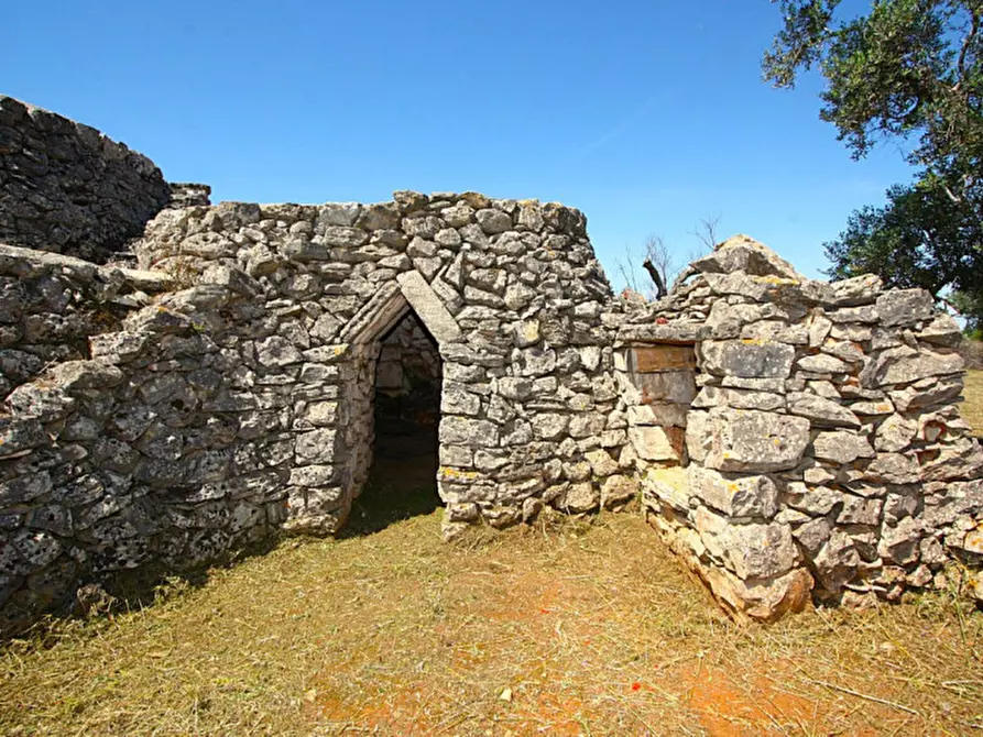 Immagine 28 di Terreno in vendita  in Strada Vicinale Rischiazzi a Parabita