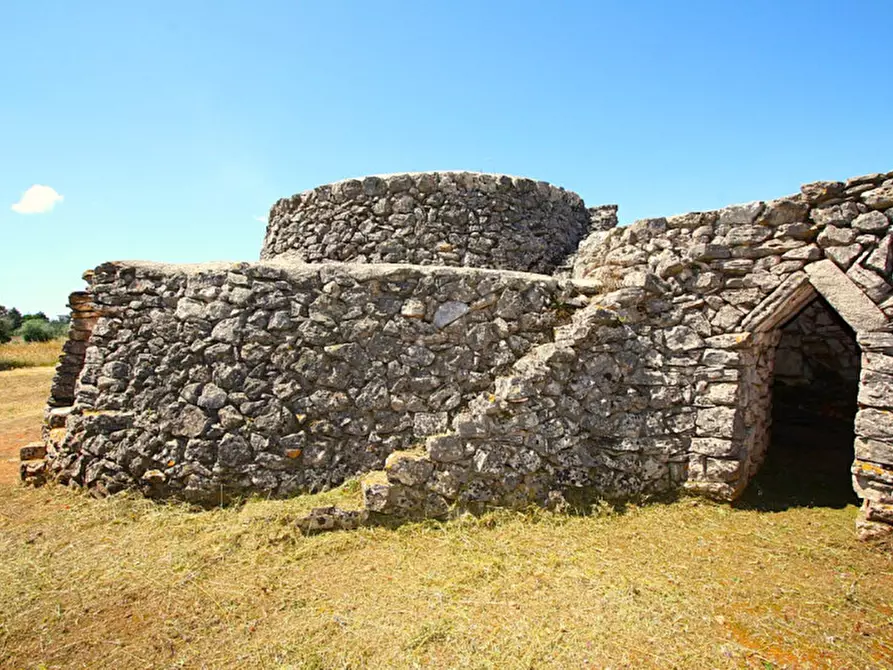 Immagine 29 di Terreno in vendita  in Strada Vicinale Rischiazzi a Parabita